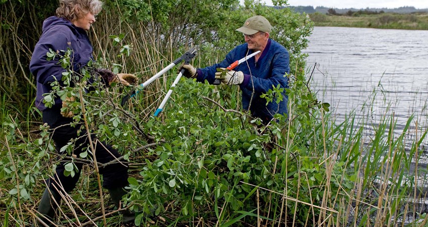 Naturplejetræf2 reduc.jpg
