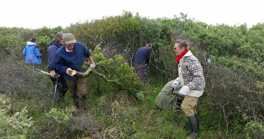 Naturplejetræf3 reduc.jpg