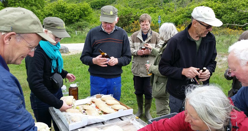 Naturplejetræf5 reduc.jpg