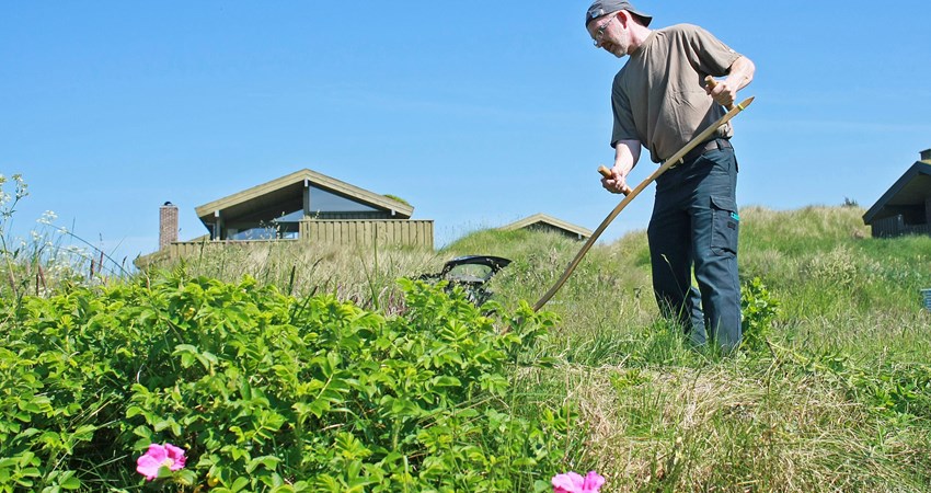 Naturpleje KMV 2016 Flemming Gregersen DN.jpg