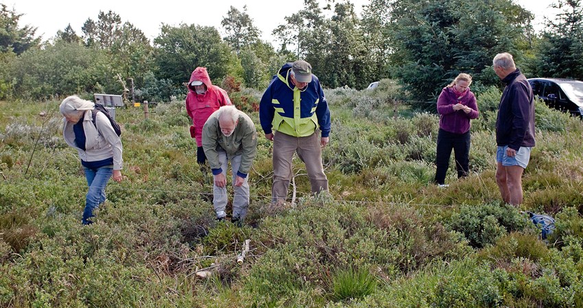 Foto artsregistrering af grønt guld projek.jpg