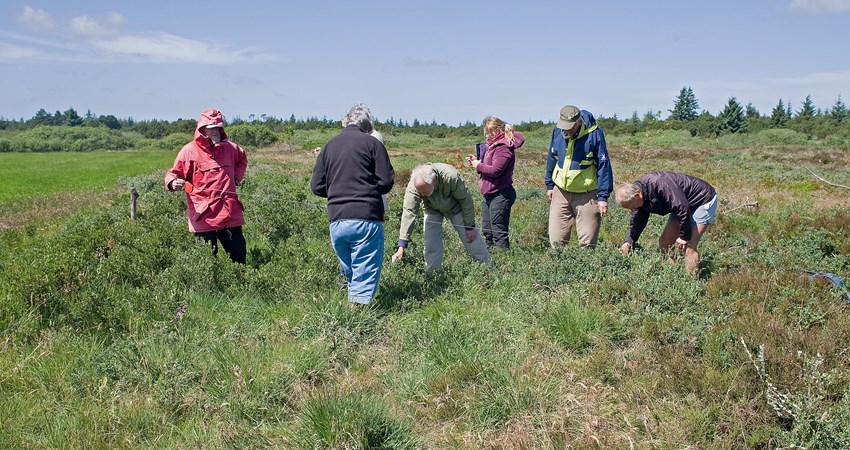 Foto artsregistrering af grønt guld projekt1.jpg