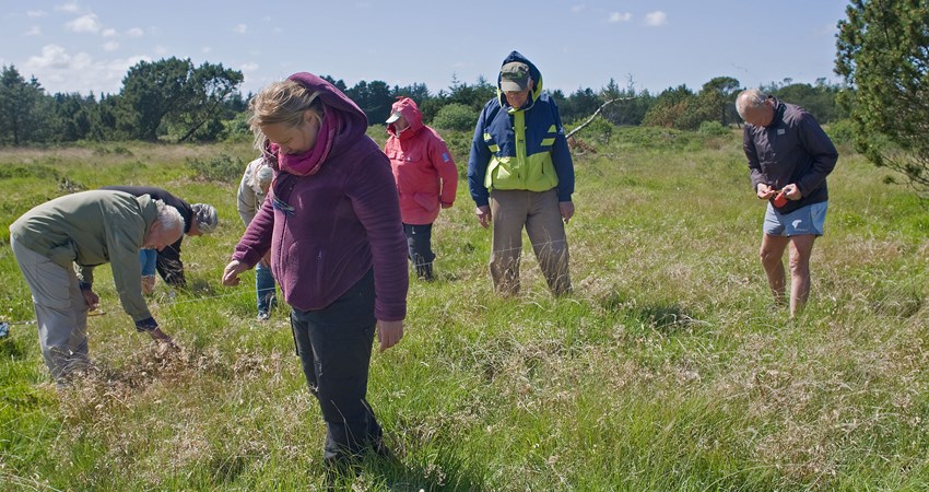 Foto artsregistrering af grønt guld projekt2.jpg