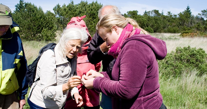 Foto artsregistrering af grønt guld projekt8.jpg