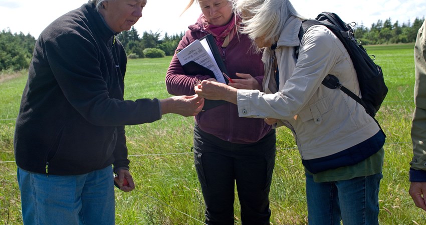 Foto artsregistrering af grønt guld projekt9.jpg