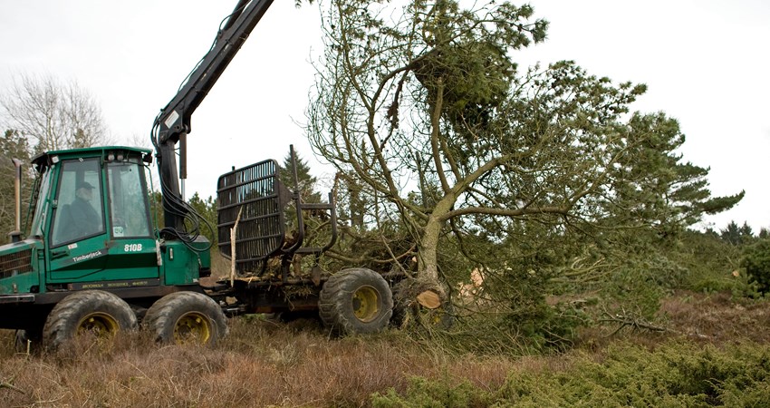 Naturpleje projekt grønt guld udkører2.jpg