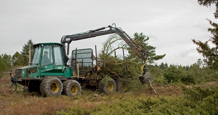 Naturpleje projekt grønt guld udkører4.jpg