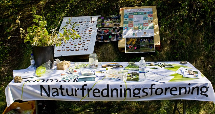 Skovens Dag i Klim2.jpg