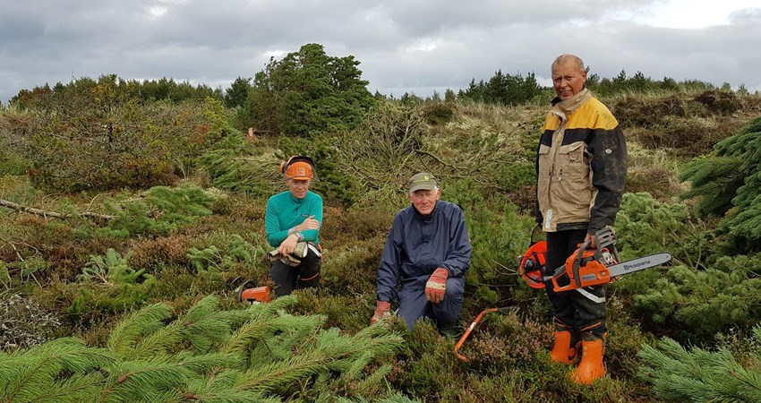 DN naturpleje dag ved Nørremiler.jpg