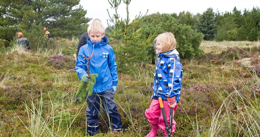 Naturplejedag i Nørremiler2_edited-1.jpg