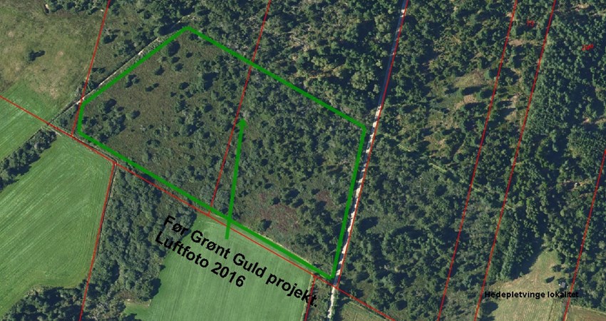 Før Grønt Guld projekt luftfoto 2016.jpg