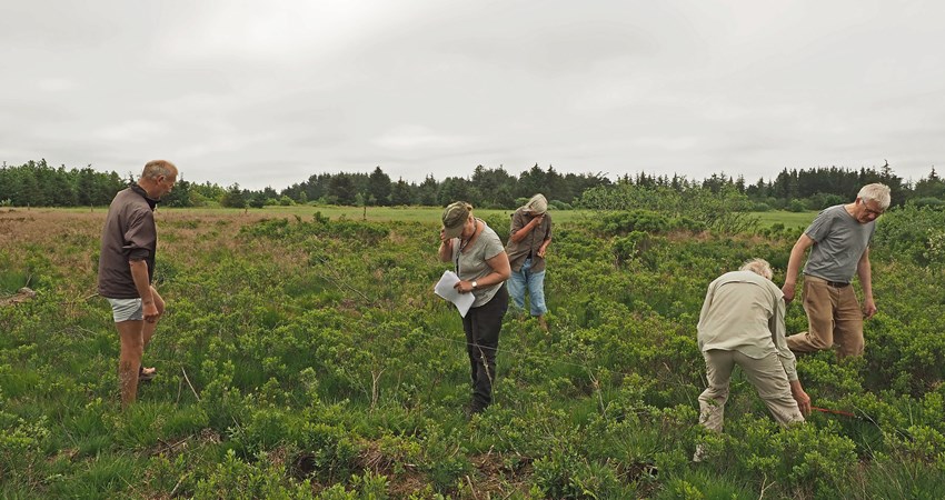 Grønt Guld 2019f.jpg