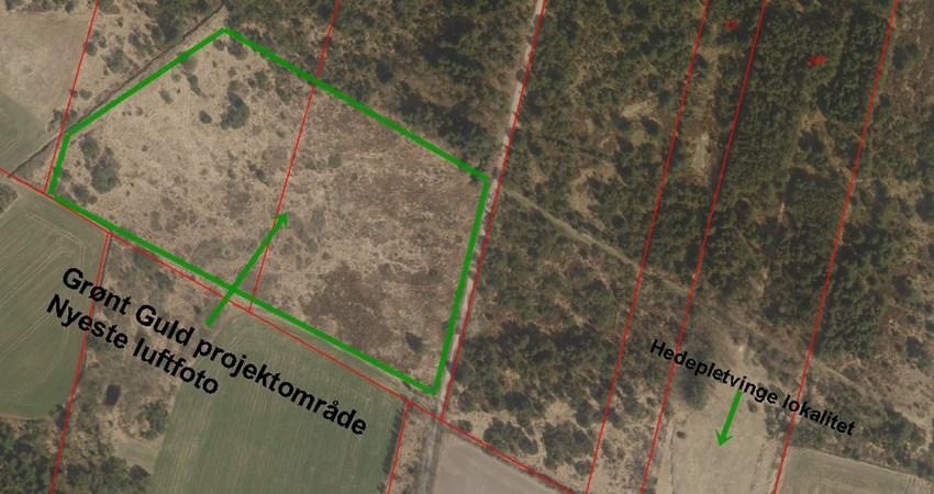 Grønt Guld projektområde - nyeste luftfoto.jpg